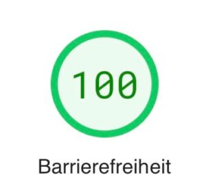 Zeigt eine Grafik mit 100 von 100 möglichen Punkten beim Barrierefreiheit Check mit Google Pagespeed Insights unserer Webseite
